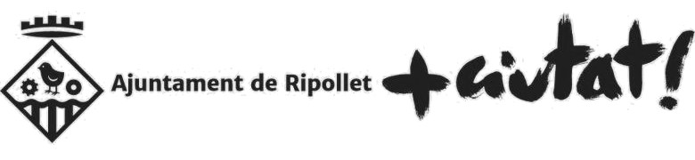 Aula Virtual Ripollet